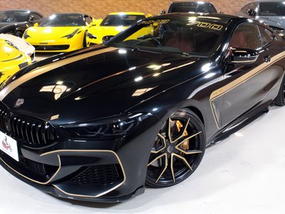 2019 BMW 8 SERIES — миниатюра 19
