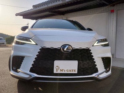 LEXUS RX - 2