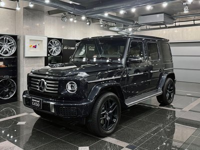 MERCEDES-BENZ G-CLASS - 1