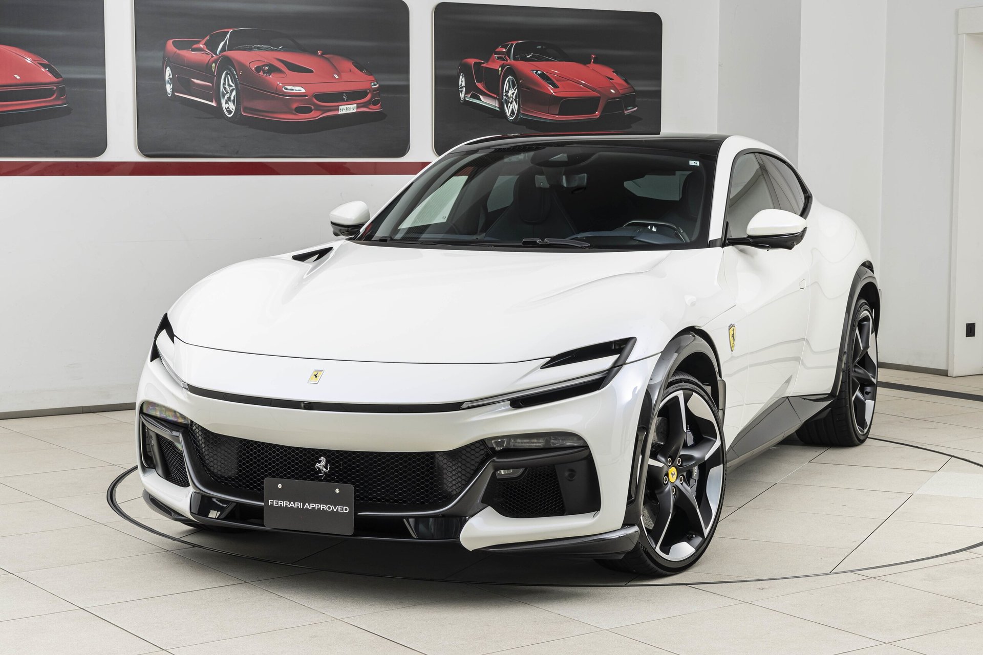 FERRARI PUROSANGUE - View 1