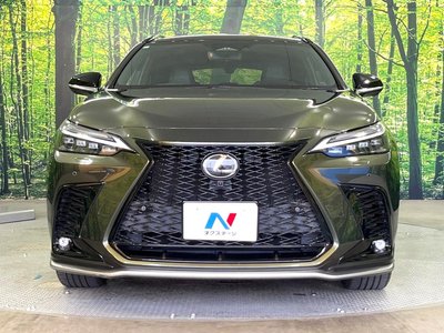 2023 Lexus NX 缩略图 14