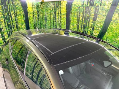 2023 Lexus NX 缩略图 29