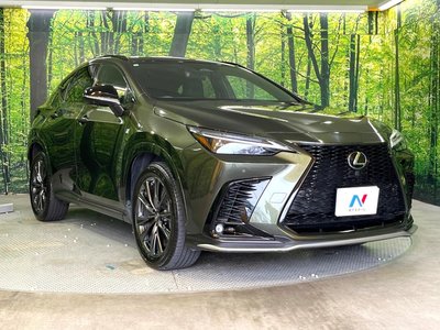 2023 Lexus NX 缩略图 16