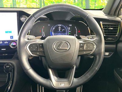 2023 Lexus NX 缩略图 11