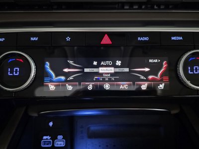 GENESIS GV80 - 10