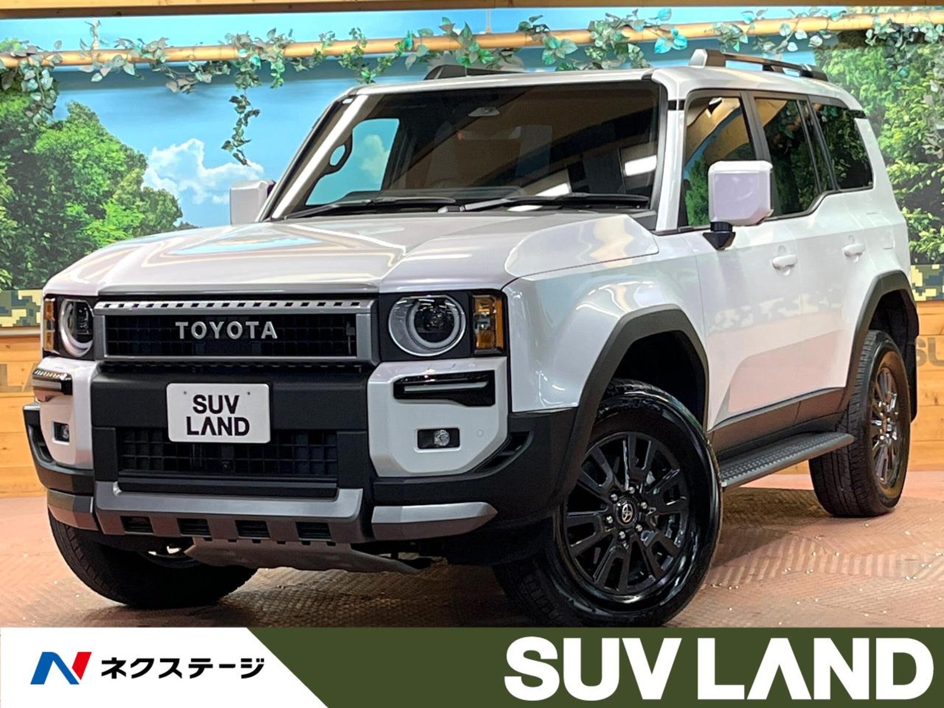 TOYOTA LAND CRUISER 250 - View 1