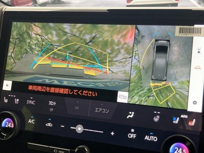 2025 TOYOTA ALPHARD — миниатюра 12