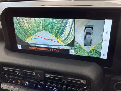 TOYOTA LAND CRUISER 250 - 6