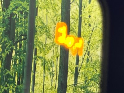 TOYOTA LAND CRUISER 250 - 8