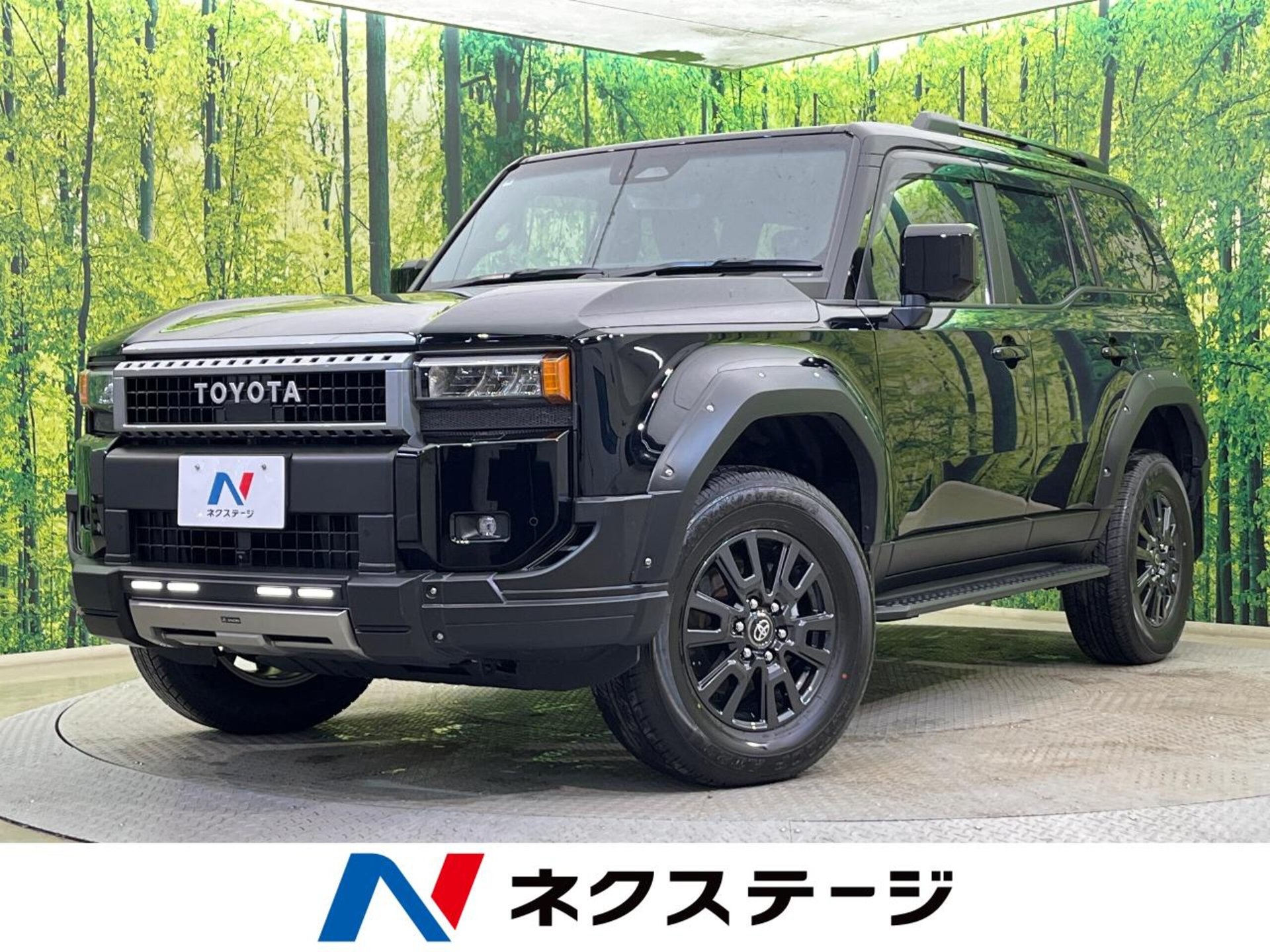 TOYOTA LAND CRUISER 250 - View 1