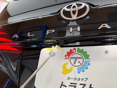 2025 Toyota ALPHARD 缩略图 30