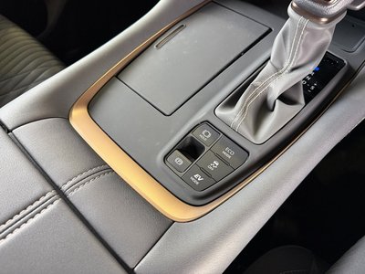 2025 Toyota ALPHARD 缩略图 53