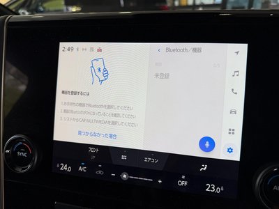 2025 Toyota ALPHARD 缩略图 39