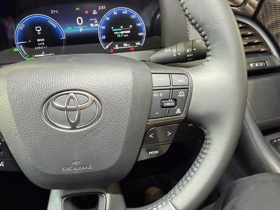 2025 Toyota ALPHARD 缩略图 59