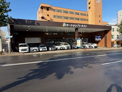 2025 Toyota ALPHARD 缩略图 76