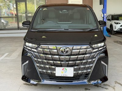 2025 Toyota ALPHARD 缩略图 13
