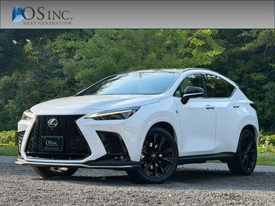 LEXUS NX - 1