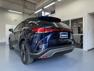 LEXUS RX - 9