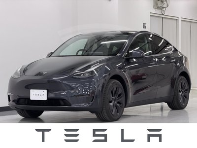 TESLA MODEL Y - 1