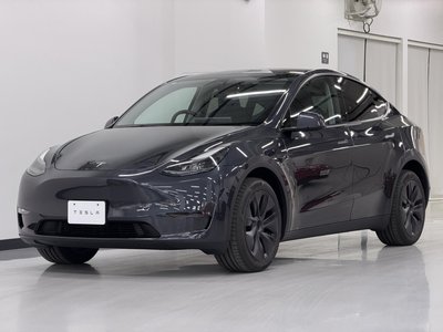 TESLA MODEL Y - 6