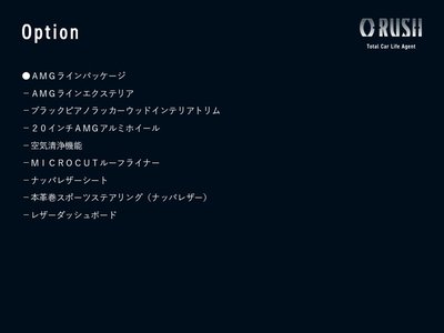 MERCEDES-BENZ G-CLASS - 2