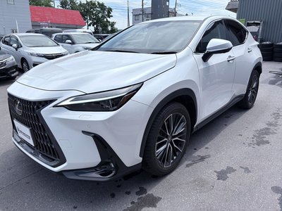 LEXUS NX - 7