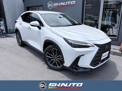 LEXUS NX - 1