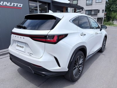 LEXUS NX - 3