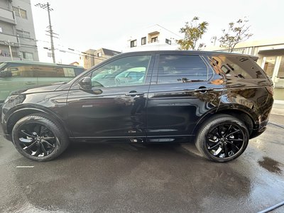 2024 LAND Rover DISCOVERY SPORT — миниатюра 19