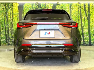 2022 Lexus NX 缩略图 14