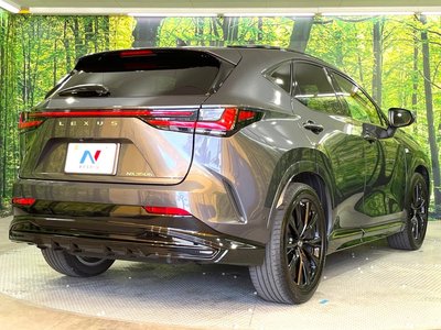 2022 Lexus NX 缩略图 16