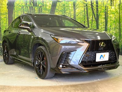 2022 Lexus NX 缩略图 15