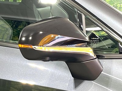 2022 Lexus NX 缩略图 29