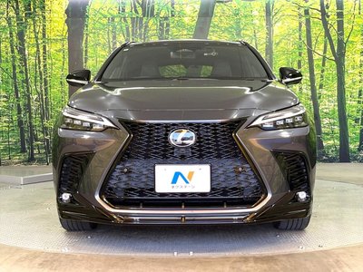 2022 Lexus NX 缩略图 13