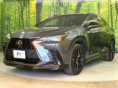 2022 Lexus NX 缩略图 25