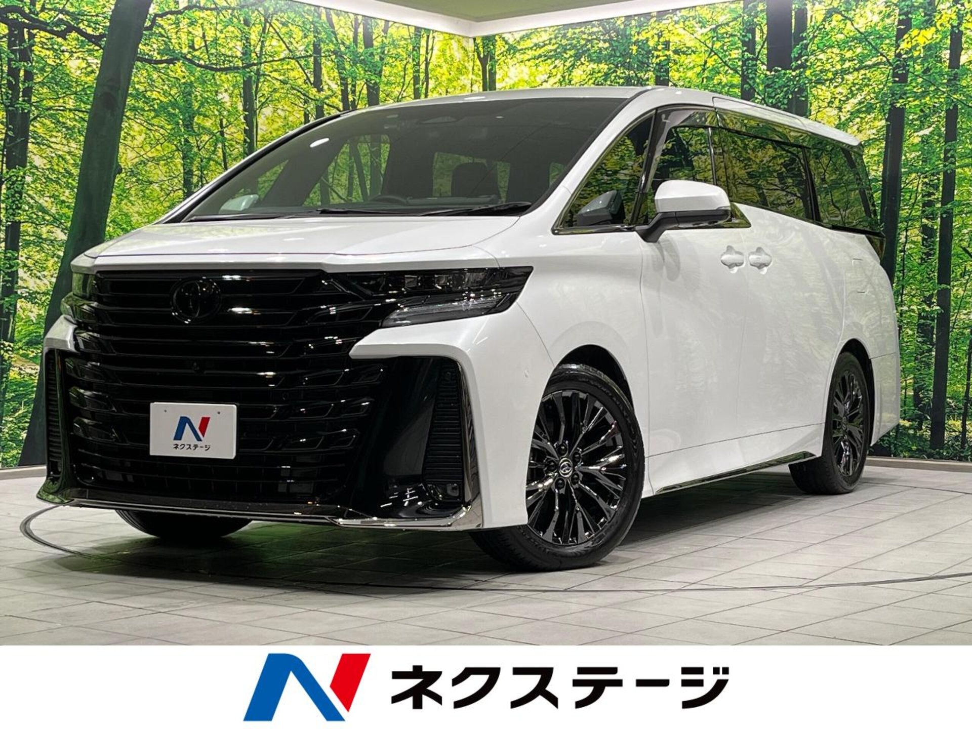 TOYOTA VELLFIRE - View 1
