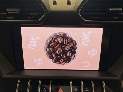 2019 Lamborghini URUS 缩略图 16