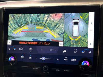 2024 TOYOTA ALPHARD 照片 6
