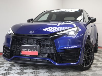 2025 Lexus LBX 照片 1