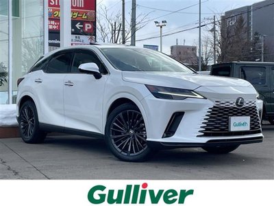 LEXUS RX - 1