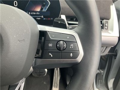2025 BMW X2 缩略图 27