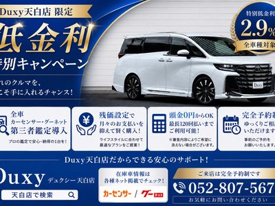 TOYOTA LAND CRUISER 250 - 2