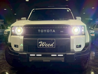 2026 Toyota LAND CRUISER 250 照片 10