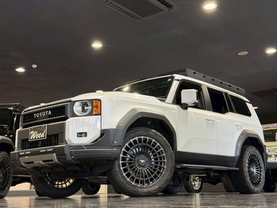 2026 Toyota LAND CRUISER 250 照片 5
