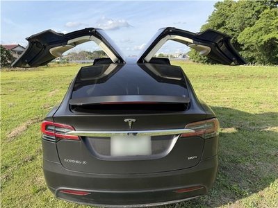 صورة مصغرة 52 لـ 2017 Tesla MODEL X