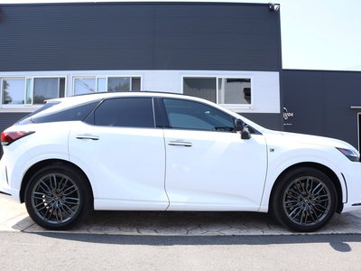LEXUS RX - 4