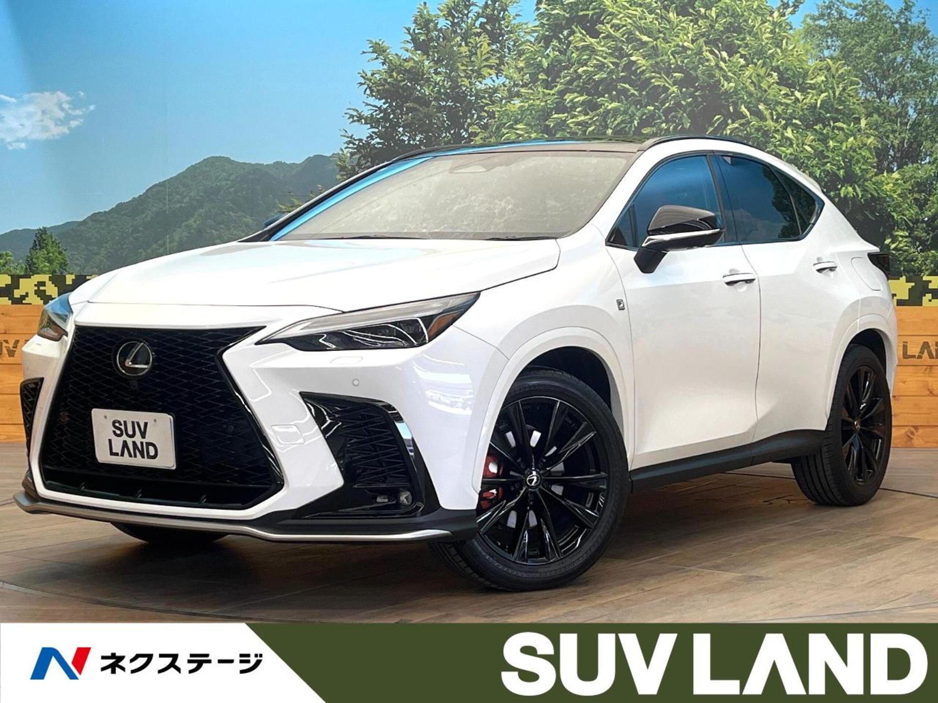 LEXUS NX - View 1