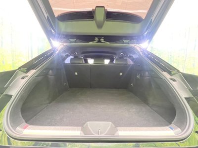 2024 Toyota CROWN SPORT — фото 10