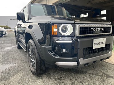 TOYOTA LAND CRUISER 250 - 10