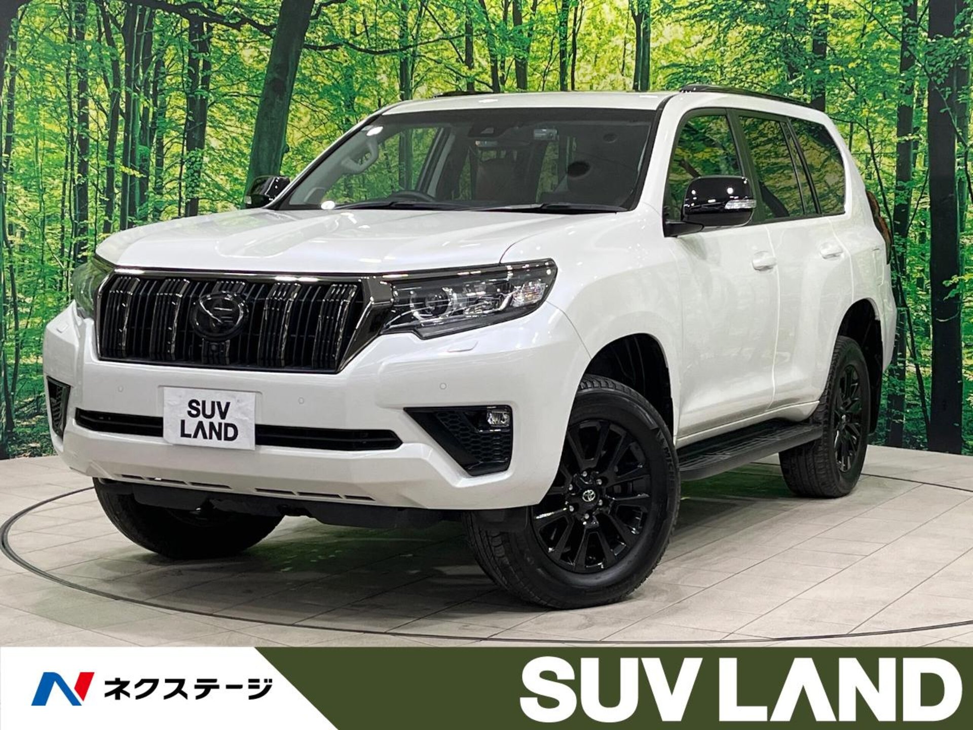 TOYOTA LAND CRUISER PRADO - View 1